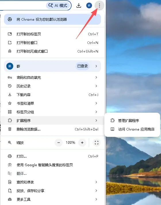 Chrome 扩展商店入口