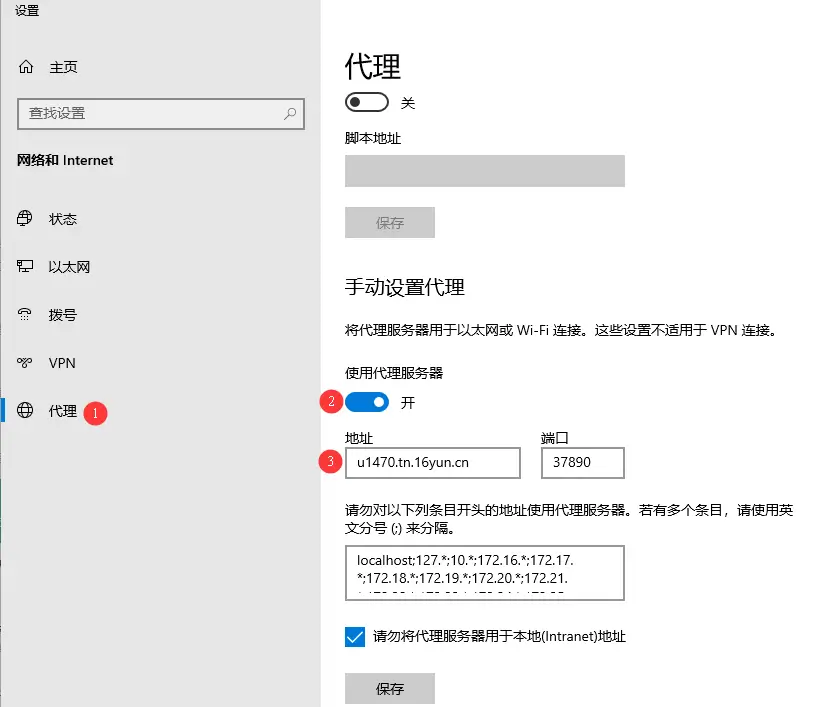 Windows 代理设置页